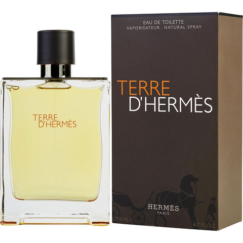 TERRE D'HERMES by Hermes EDT SPRAY