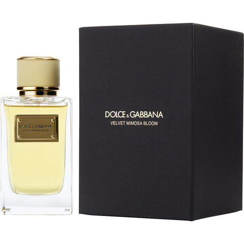 DOLCE & GABBANA VELVET MIMOSA BLOOM by Dolce & Gabbana EAU DE PARFUM SPRAY