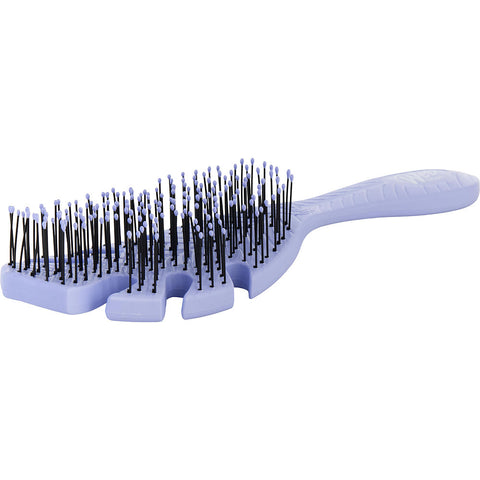 WET BRUSH by Wet Brush GO GREEN DETANGLER - LAVENDER